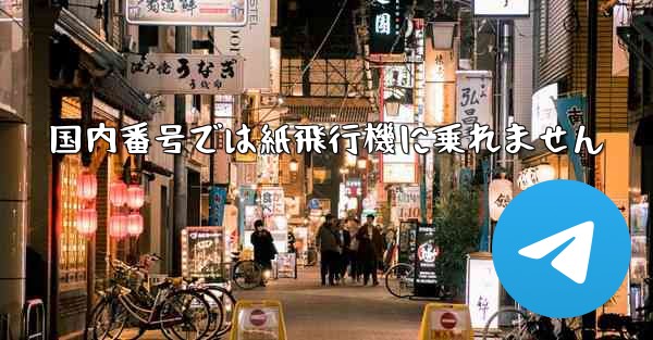 国内番号では紙飛行機に乗れません