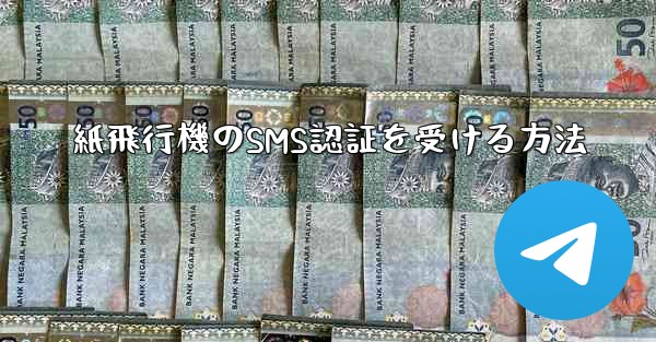 紙飛行機のSMS認証を受ける方法