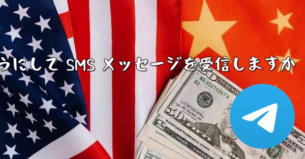 Paper Plane はどのようにして SMS メッセージを受信しますか