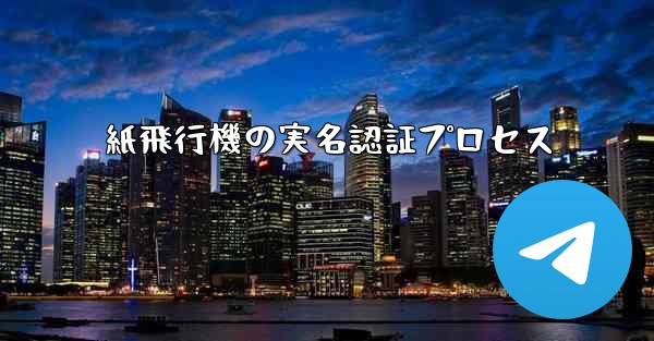 <b>紙飛行機の実名認証プロセス</b>