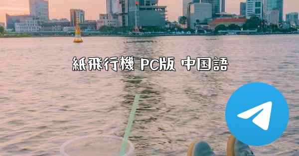 紙飛行機 PC版 中国語