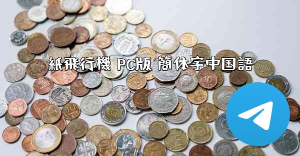 紙飛行機 PC版 簡体字中国語