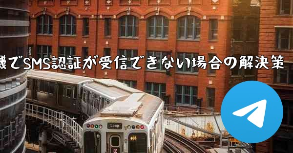 紙飛行機でSMS認証が受信できない場合の解決策