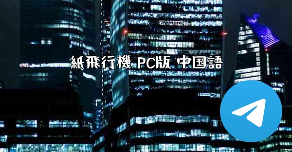 紙飛行機 PC版 中国語