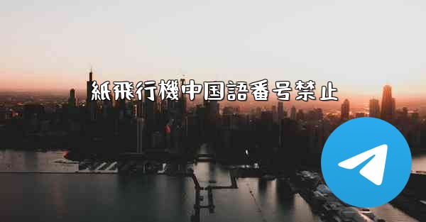 紙飛行機中国語番号禁止