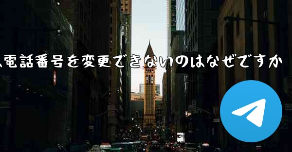Paper Plane では電話番号を変更できないのはなぜですか