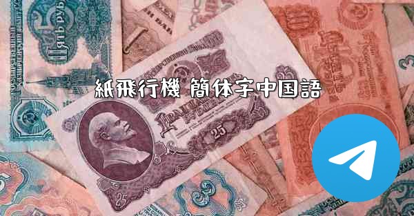 紙飛行機 簡体字中国語