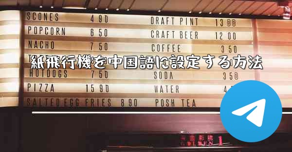 紙飛行機を中国語に設定する方法