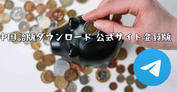 Paper Plane 中国語版ダウンロード 公式サイト登録版