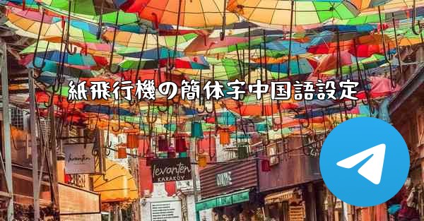 紙飛行機の簡体字中国語設定