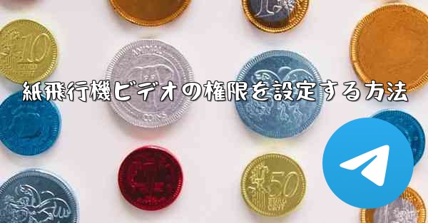 紙飛行機ビデオの権限を設定する方法