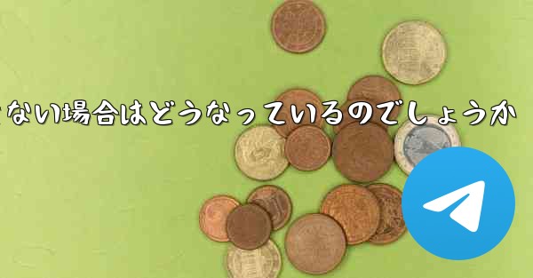 Paper Plane が SMS 認証コードを受信できない場合はどうなっているのでしょうか