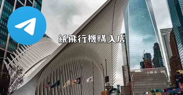 紙飛行機購入店