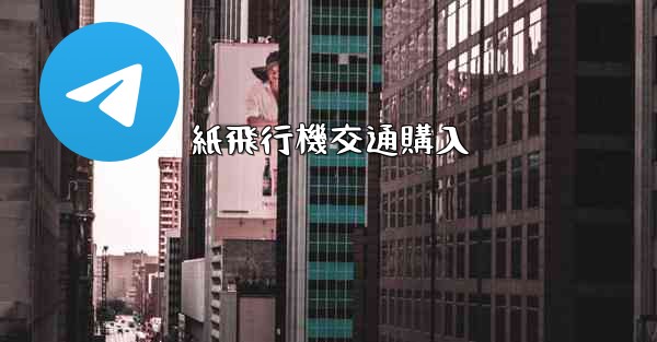 紙飛行機交通購入