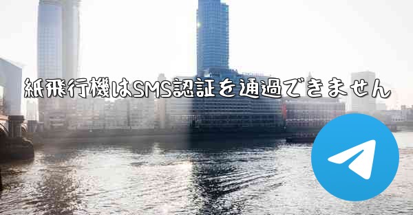 <b>紙飛行機はSMS認証を通過できません</b>