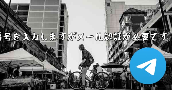 紙飛行機は携帯電話番号を入力しますがメール認証が必要です