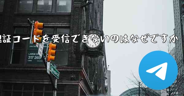 Paper Plane が登録時に認証コードを受信できないのはなぜですか