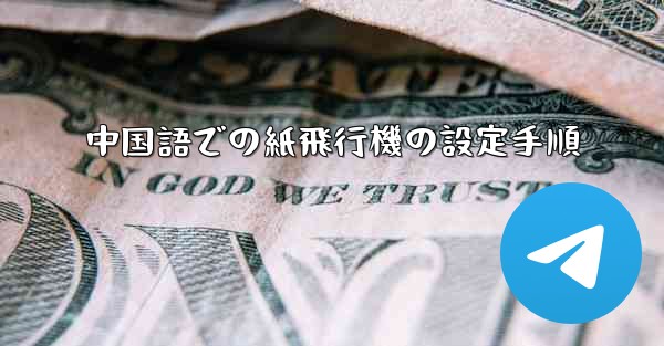 中国語での紙飛行機の設定手順
