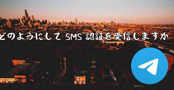 Paper Plane はどのようにして SMS 認証を受信しますか