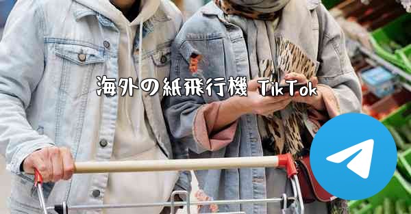 海外の紙飛行機 TikTok