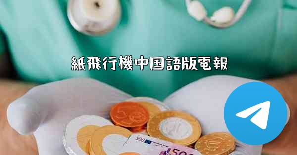 紙飛行機中国語版電報