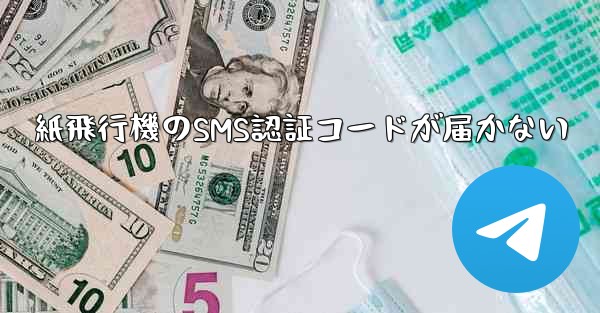 <b>紙飛行機のSMS認証コードが届かない</b>