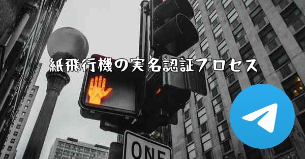 <b>紙飛行機の実名認証プロセス</b>