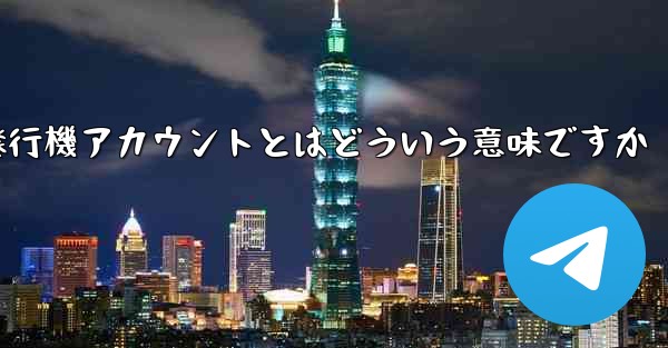 紙飛行機アカウントとはどういう意味ですか