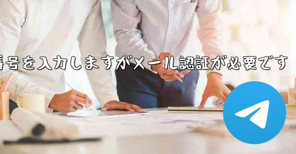 <b>紙飛行機は携帯電話番号を入力しますがメール認証が必要です</b>