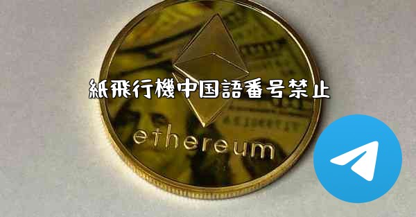 紙飛行機中国語番号禁止