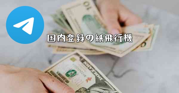 国内登録の紙飛行機