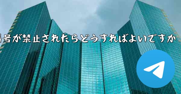 私の紙飛行機の携帯電話番号が禁止されたらどうすればよいですか