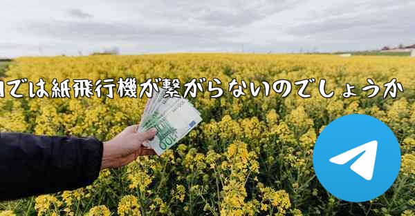 なぜ国内では紙飛行機が繋がらないのでしょうか