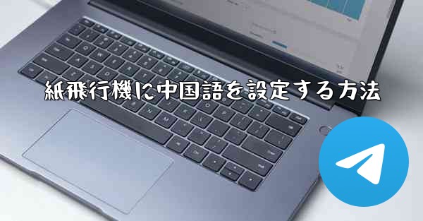 <b>紙飛行機に中国語を設定する方法</b>