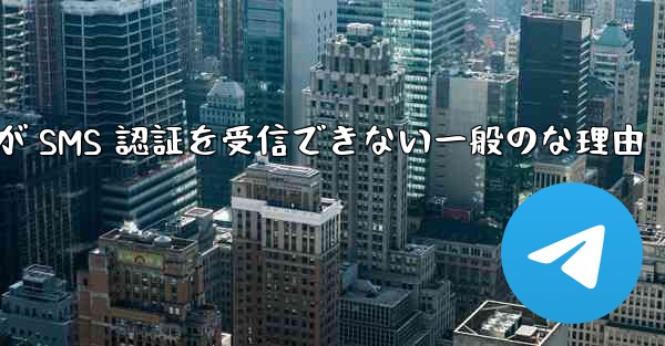 <b>Paper Plane が SMS 認証を受信できない一般のな理由</b>