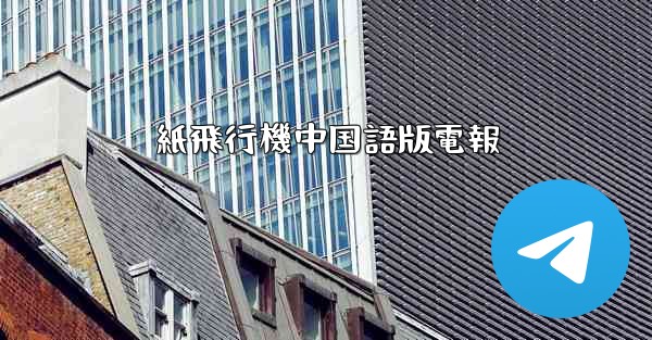 紙飛行機中国語版電報