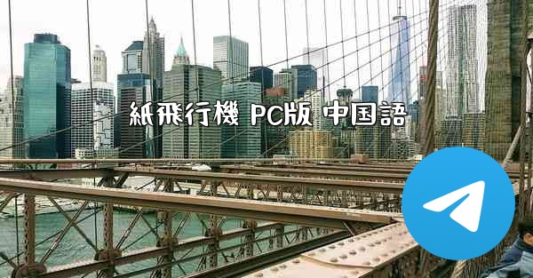 <b>紙飛行機 PC版 中国語</b>