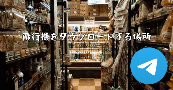 <b>飛行機をダウンロードする場所</b>