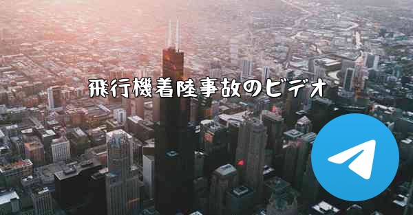 <b>飛行機着陸事故のビデオ</b>