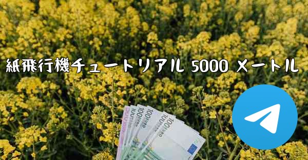 紙飛行機チュートリアル 5000 メートル