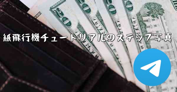 <b>紙飛行機チュートリアルのステップ写真</b>