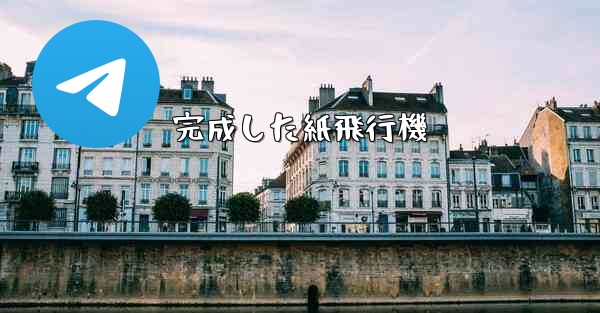 <b>完成した紙飛行機</b>