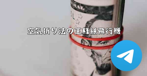空気折り法の王様紙飛行機