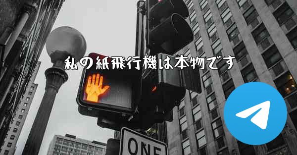 私の紙飛行機は本物です