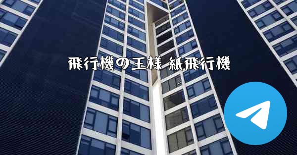 飛行機の王様 紙飛行機