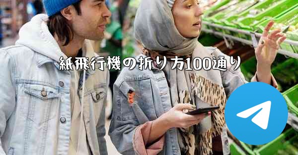 <b>紙飛行機の折り方100通り</b>