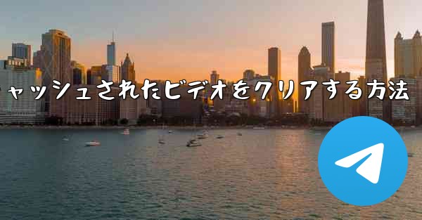 紙飛行機でキャッシュされたビデオをクリアする方法