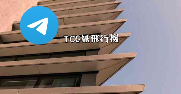 <b>TCG紙飛行機</b>