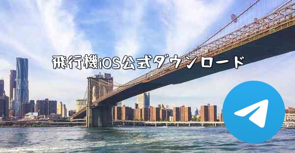 <b>飛行機iOS公式ダウンロード</b>