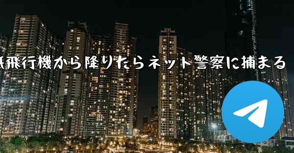 紙飛行機から降りたらネット警察に捕まる